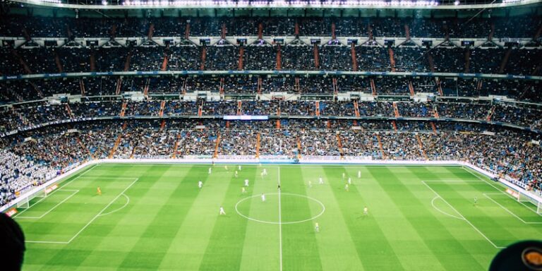 冬青奥会中,国选手全揽,金银,皇冠体育app下载,皇冠体育官网,澳门皇冠体育,bet皇冠体育在线