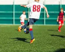 莫德裏奇獲,第七屆馬體,新聞協會獎,皇冠体育app下载,皇冠体育官网,澳门皇冠体育,bet皇冠体育在线