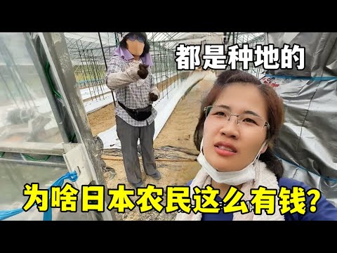 篮球巅峰对,宁波挑战辽,解析,皇冠体育app下载,皇冠体育官网,澳门皇冠体育,bet皇冠体育在线