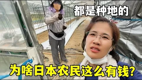 篮球巅峰对决：宁波挑战辽宁，解析CBA焦点战背后的精彩密码！